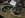 dana 60_2 004.jpg