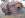 32 spline 205 reman 001.jpg