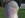 IMG_0441.JPG IMG_0441.JPG