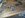 261381516112_0_ALB.jpg