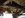 doubler%20crossmember%20back%202%20.jpg