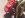IMG00723.jpg