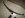 Rancho 6 inch springs 006.jpg