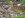 6 6 09  729 BH Mugs Sub  Vids 007.jpg