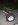 10bolt.jpg