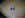DSCN0553.JPG