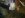 DSC00058.jpg