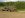 4711_197212380709_517815709_7338564_56403_n[1].jpg