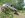 5852_216934950281_529900281_7595200_2165756_n.jpg 5852_216934950281_529900281_7595200_2165756_n.jpg