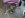 IMG00218.jpg IMG00218.jpg