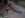 rear bumper end 4.jpg