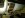 IMG00023-20090719-1649.jpg