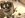 CIMG8277 (Small).JPG CIMG8277 (Small).JPG