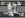CIMG6961 (Small).JPG