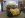 DSC02808FirewallEtchingPrimer.jpg