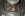 DCP_6492_small.jpg