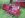 DSCF3507.JPG