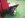 DSCF3514.JPG