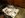 DSCN2481.JPG