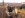 AUT_1658.JPG