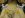 DSC01251EngineXOver.jpg