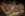 IMG_3492 - Copy.JPG
