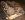 IMG_3494 - Copy.JPG