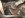 transfer case 026.JPG