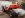 DSC03320BaseCoat.jpg