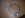 DSCN2336.JPG