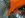 DSC03392PassValveCover.jpg