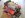 DSCN2190.JPG