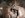 12 28 09  BH Sub Frost K5 DShaft Vid 043.jpg