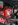 DSCN3163.JPG