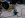 IMG00157-20100116-2118.jpg