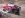 DSCN1690_001.sized.jpg