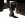 pas. shackle.JPG
