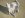 knuckleandadapter%20002.jpg