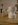 DSCN0831.JPG