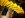 IMG00293-20100222-2141.jpg