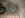 2009-04%20(Apr)%20004.jpg