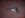 Header1.JPG