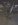 !cid__0310001320.jpg