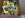 IMG00354-20100314-1836.jpg