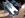 IMG00395-20100328-0004.jpg