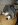 DSCN0917.JPG