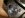 IMG00014-20100411-1652.jpg