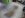 Always Follows-53.JPG