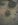 13292_1167733572407_1799981562_315788_5483934_n.jpg