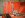 ugly-IMG_1100.jpg